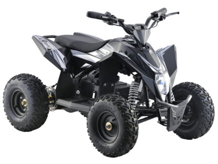 Elektromotor – ATV ECO MADOX 1000